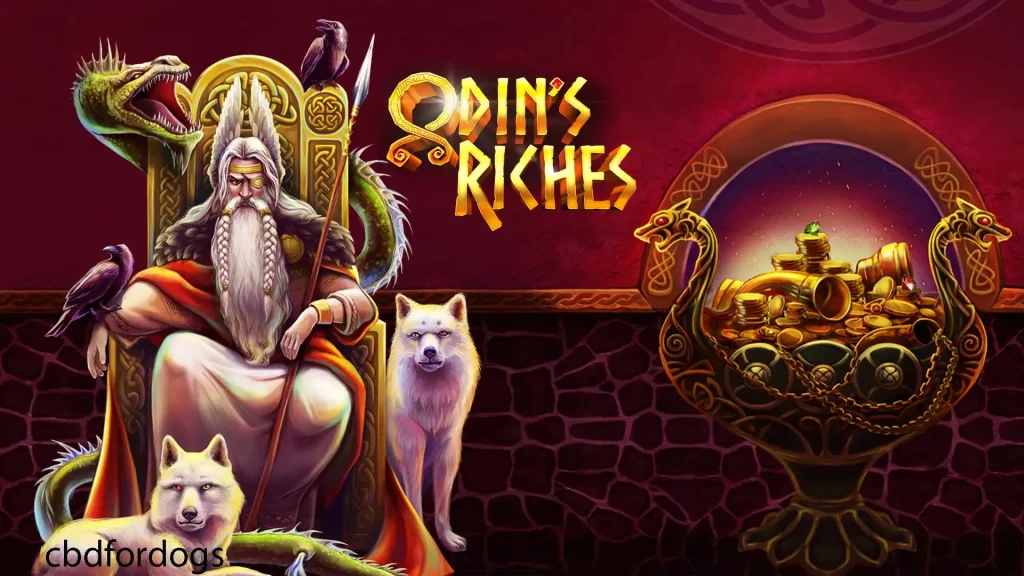 Slot Odin’s Riches